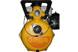 Onga